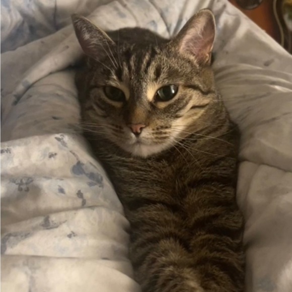 Hello! - Picture 2 of 2